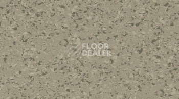 Линолеум Gerflor Mipolam Affinity 4443 Lime Taupe фото 1 | FLOORDEALER